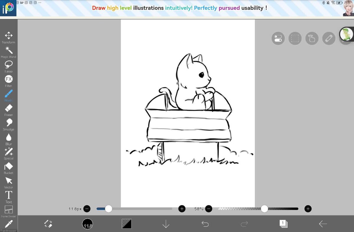 Don (❖,❖) tweet media