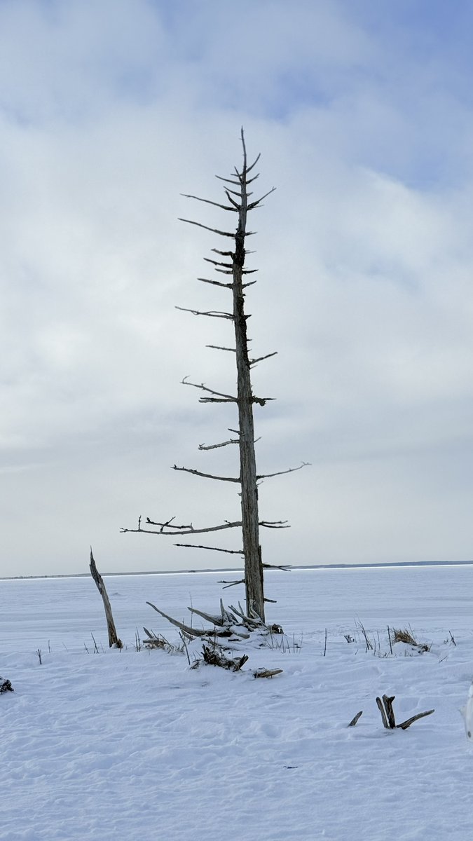 キュンちゃん【公式】 tweet media