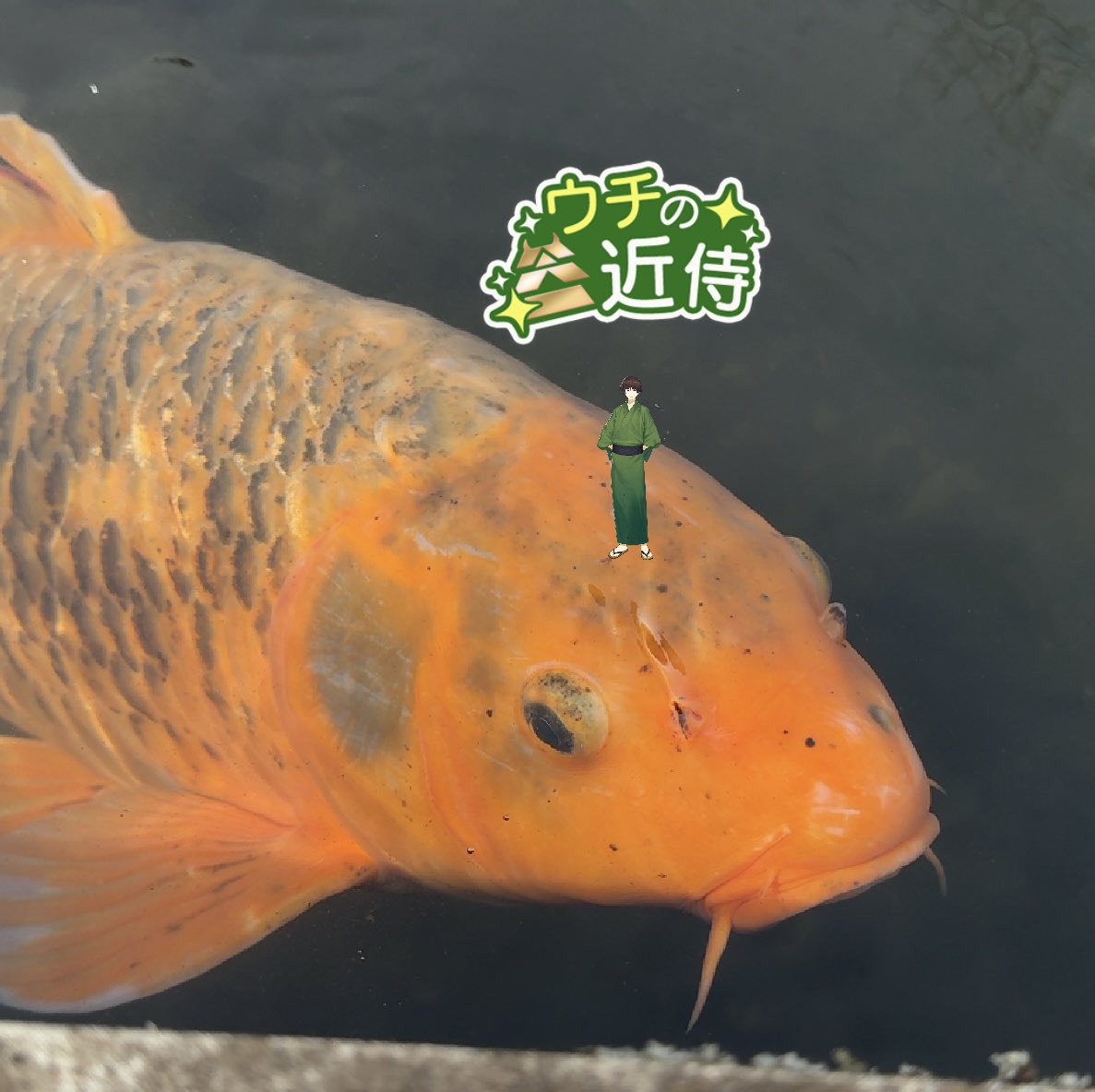 とり(命) ネーム入った😭 tweet media