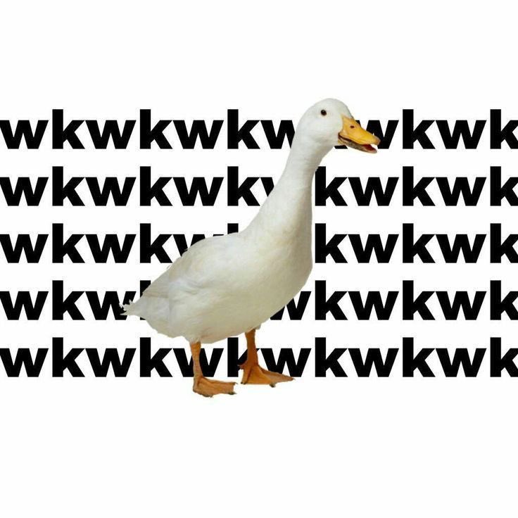 enamlima tweet media