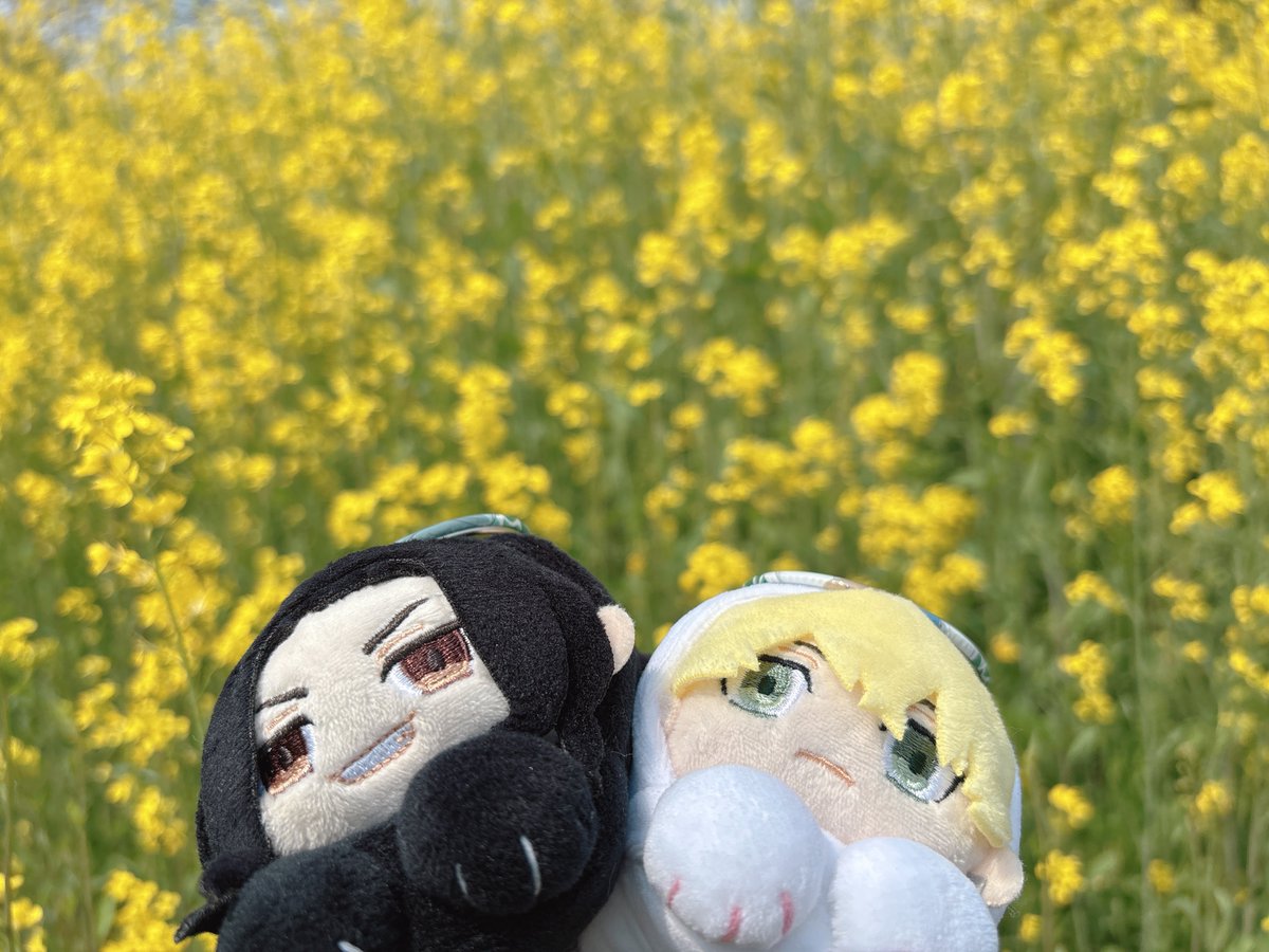 清雅（せいが）▽😏😊△ tweet media