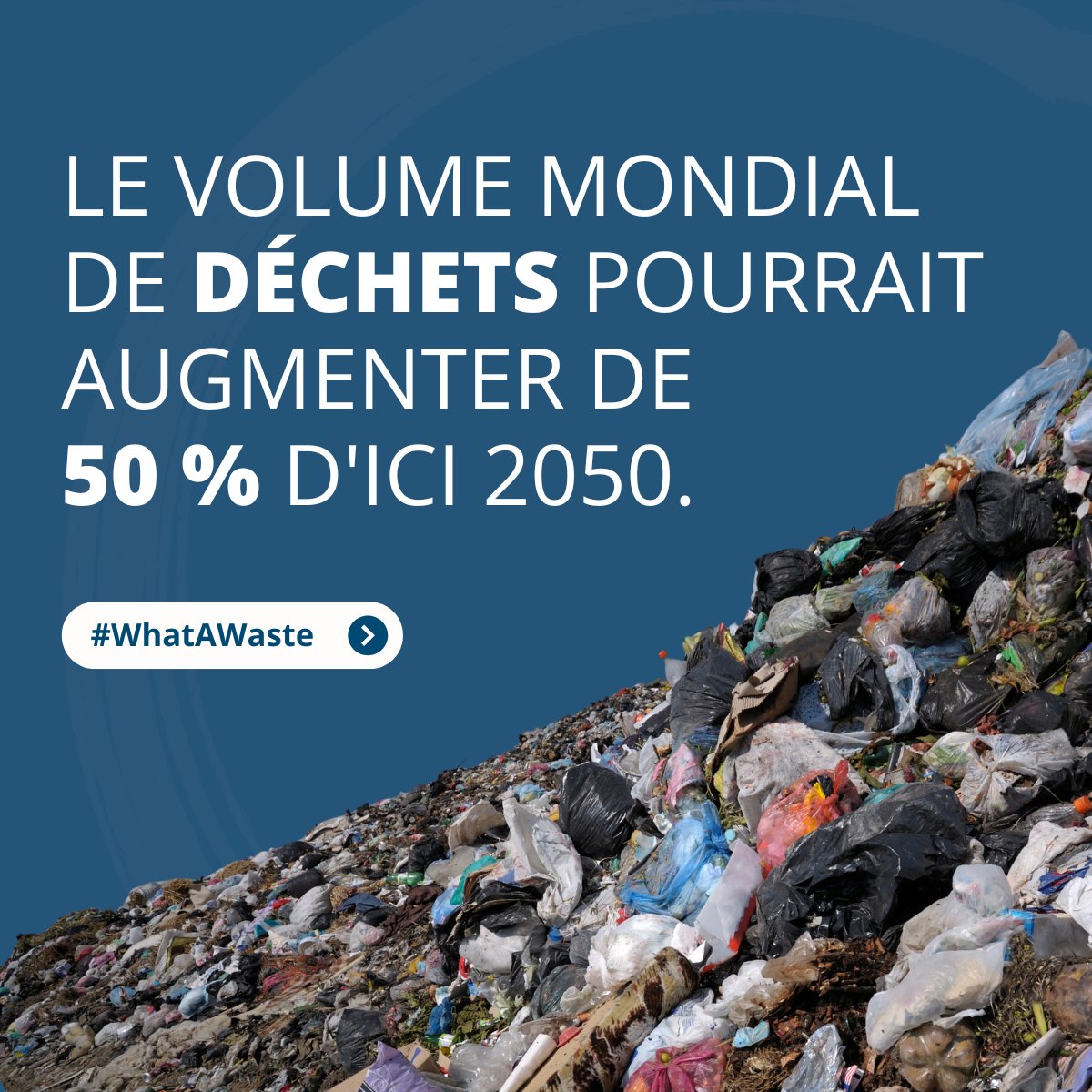 Banque mondiale tweet media