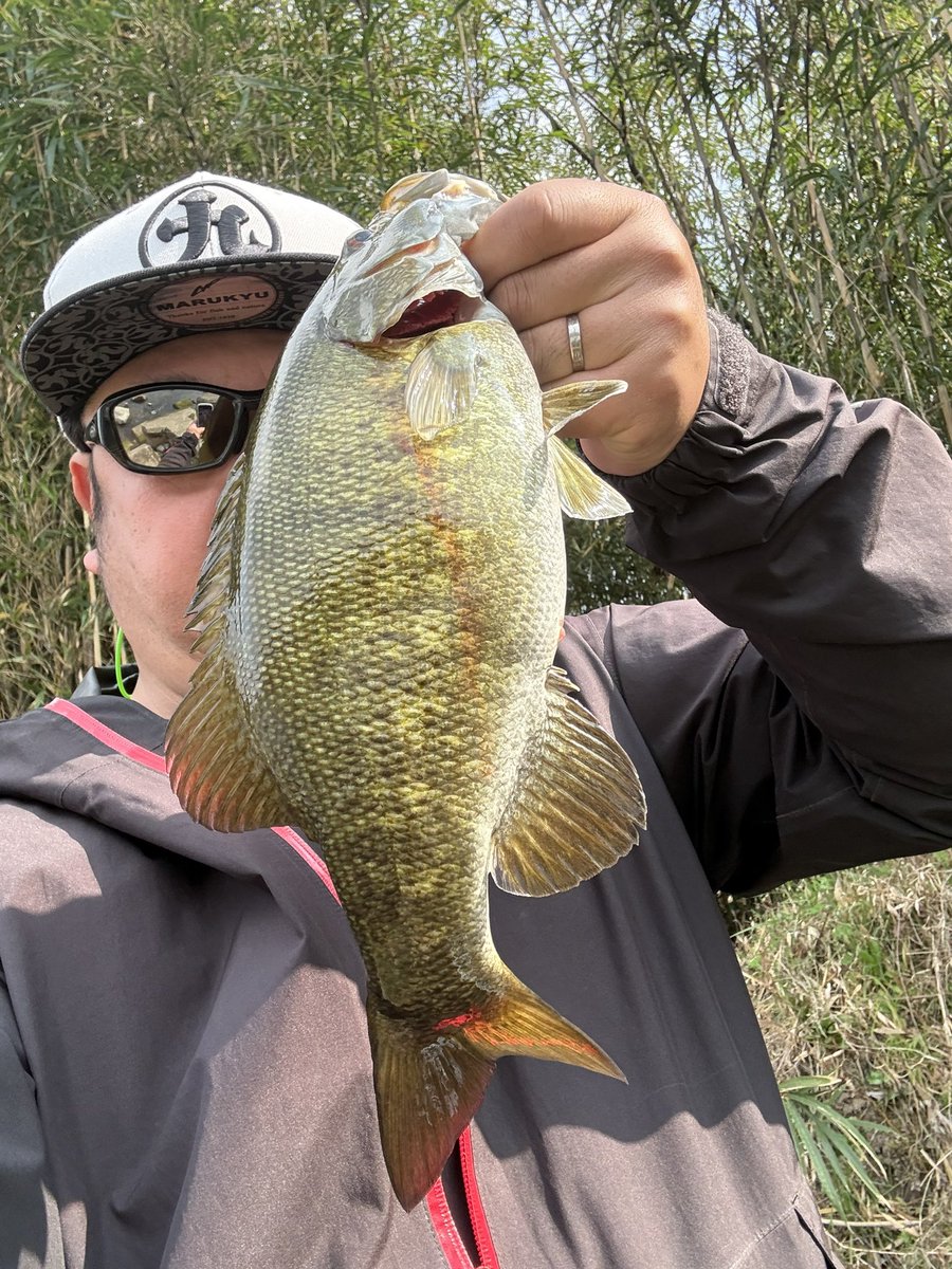 べーやん tweet media