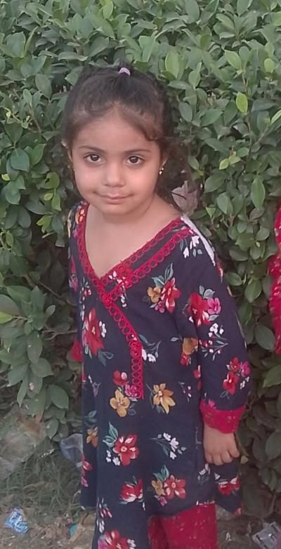 Fahmidah Yousfi tweet media