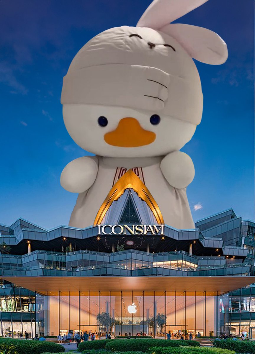 พี่ดาว🐷🩷✨️ tweet media