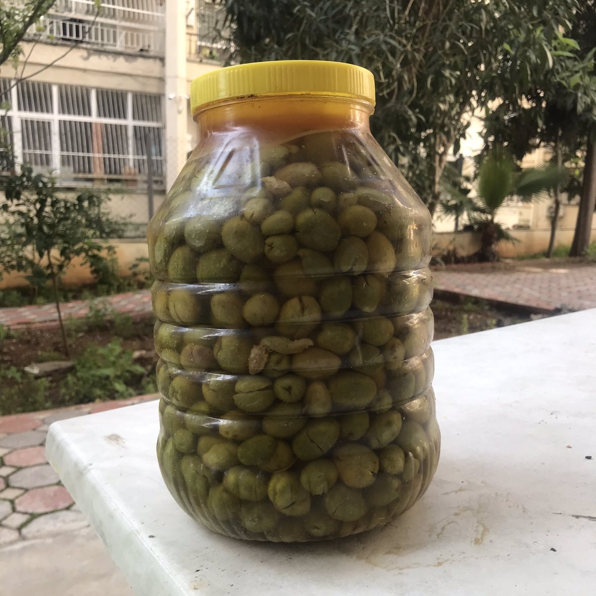 leydi papatya tweet media