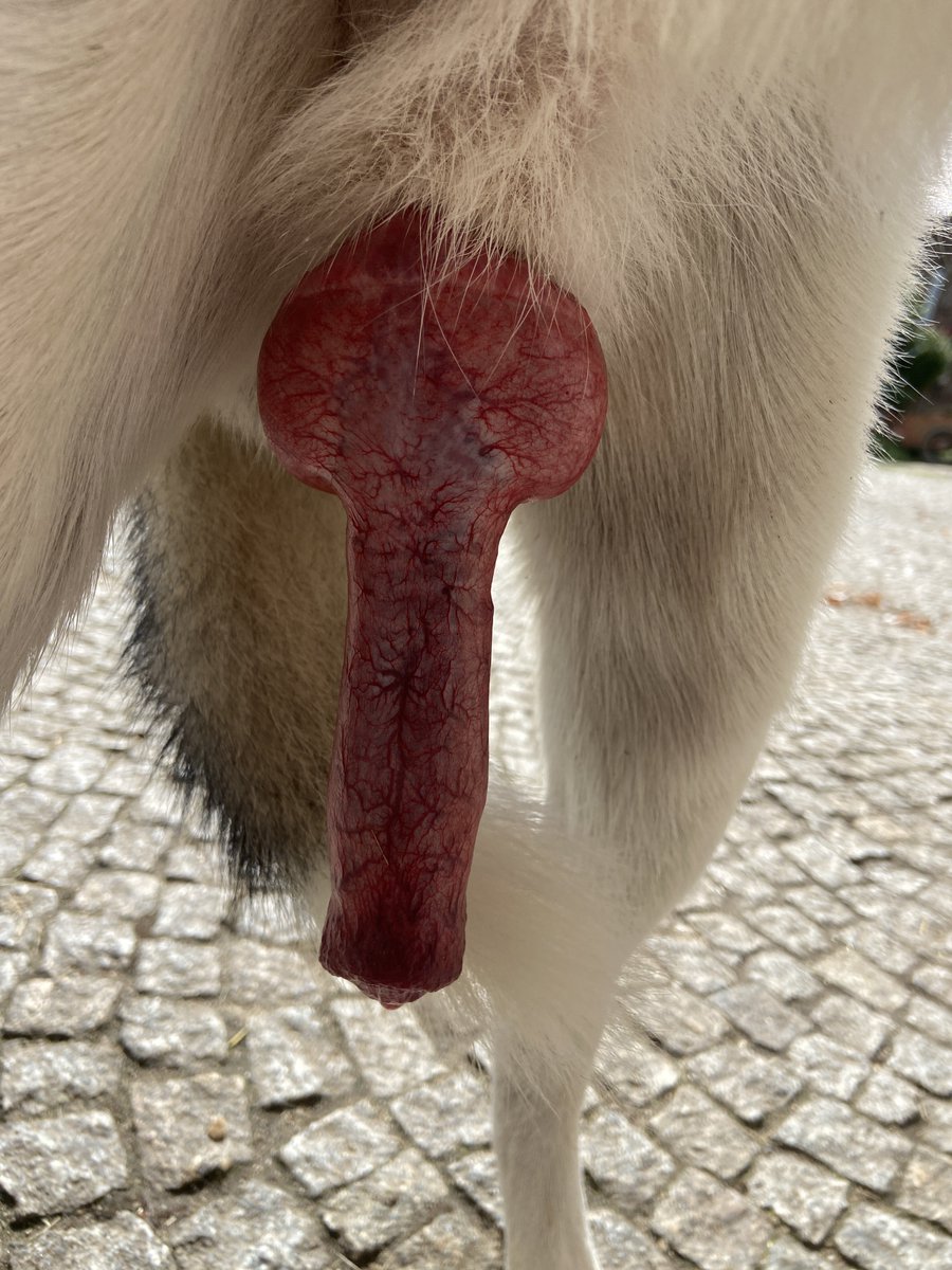 Lisa 🔞🪢💦 tweet media