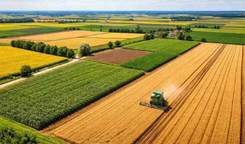 Nae Moromete, Faraonu' tweet media