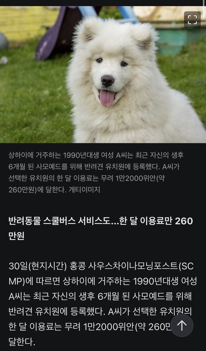 마리나 tweet media