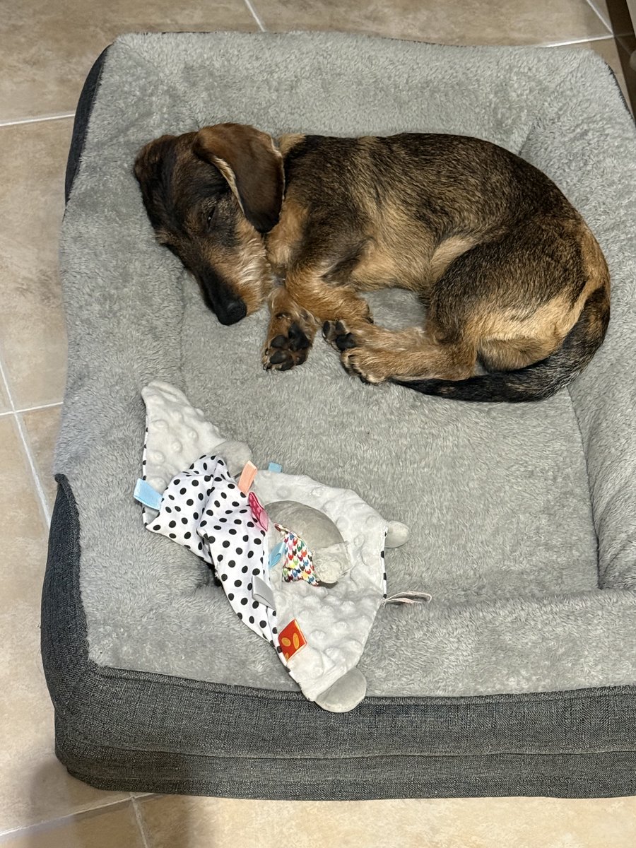 Mª Antonia Rentero Flor tweet media