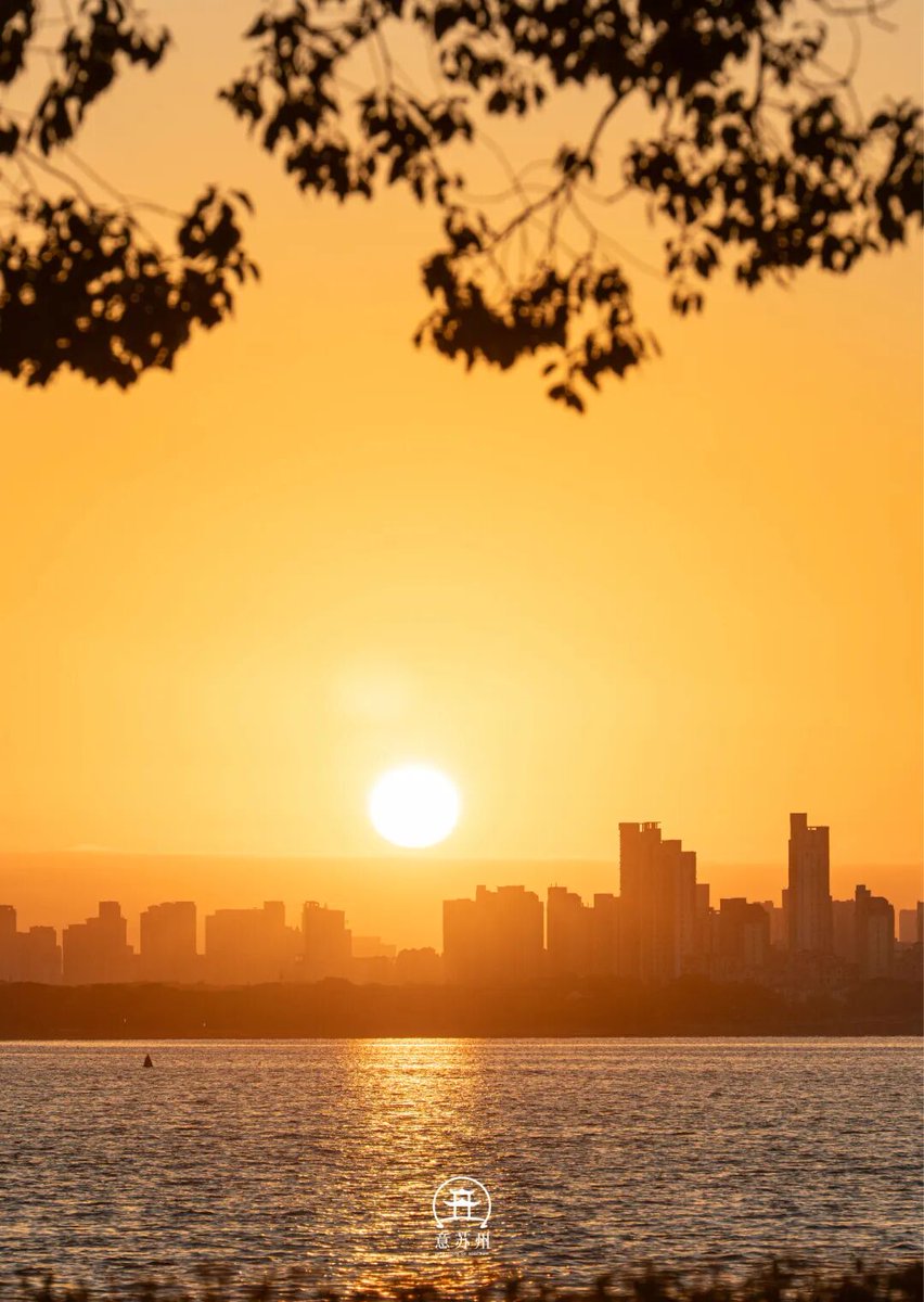 Mara Bouvier-Schatz tweet media