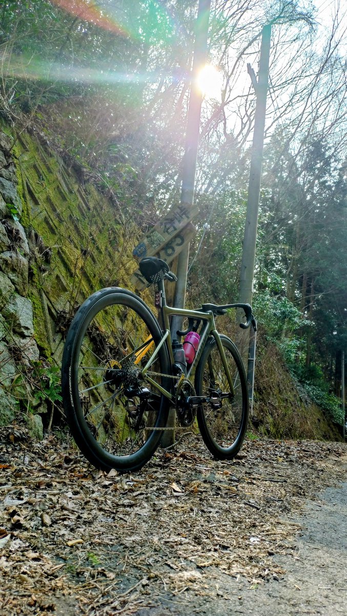 SAWAっち tweet media