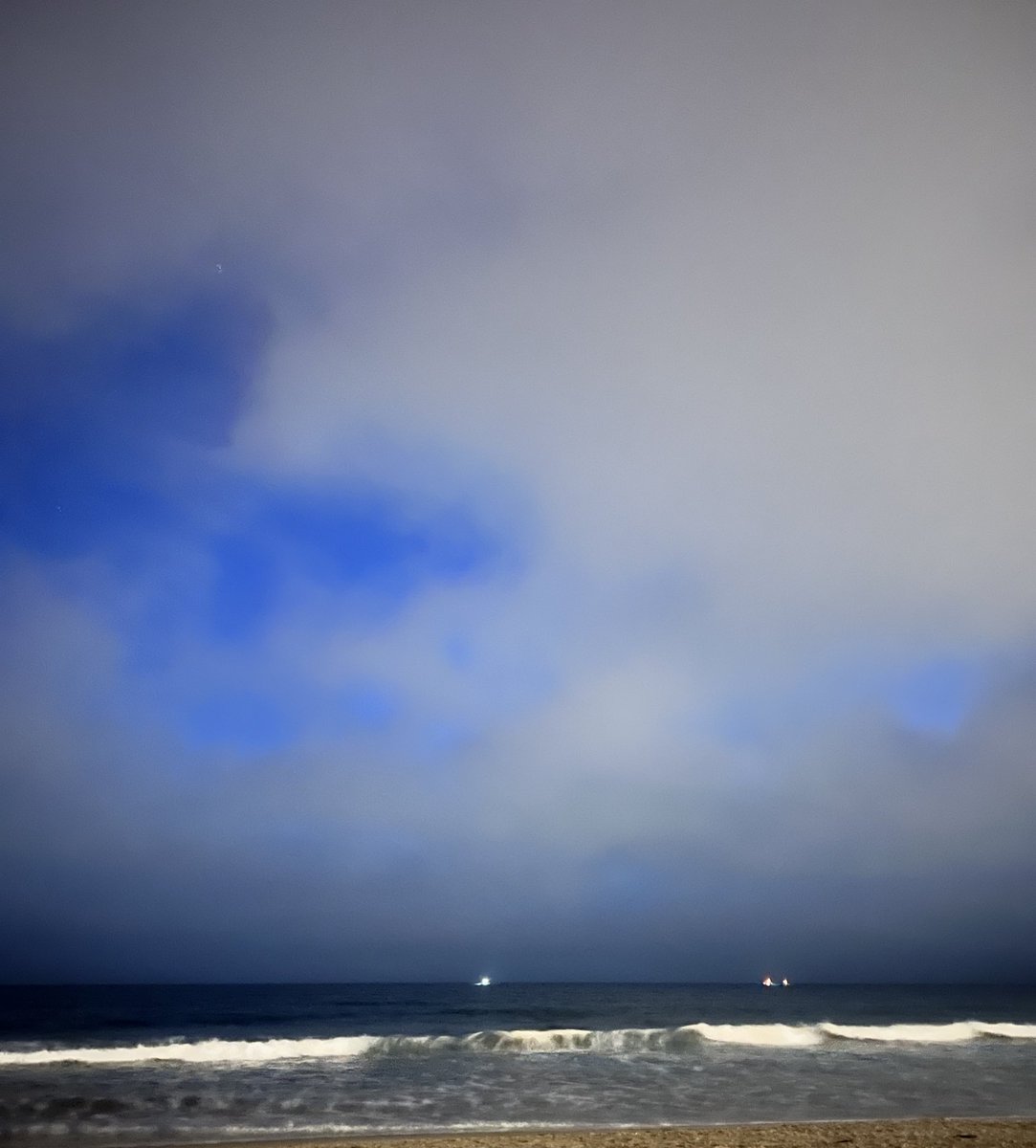 تسلا tweet media