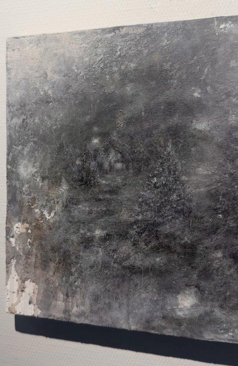 KAISO☁️ tweet media