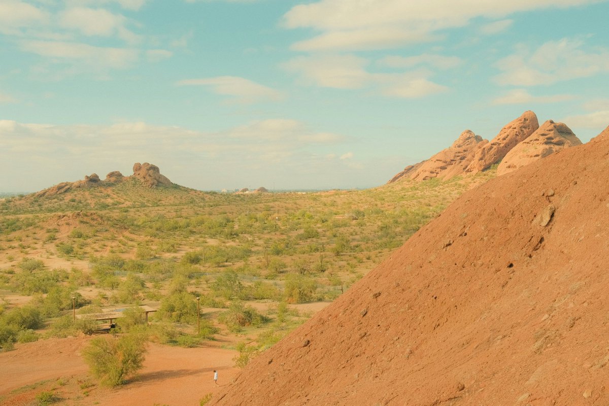 Agribook.Digital tweet media