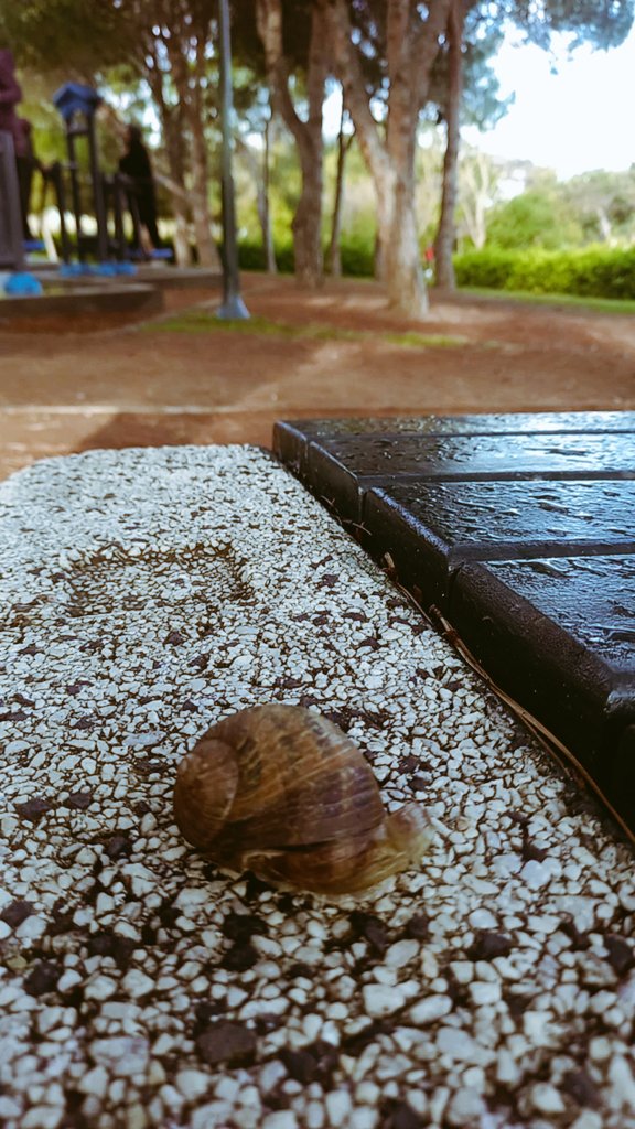 หเฐฏหᥫ᭡ tweet media