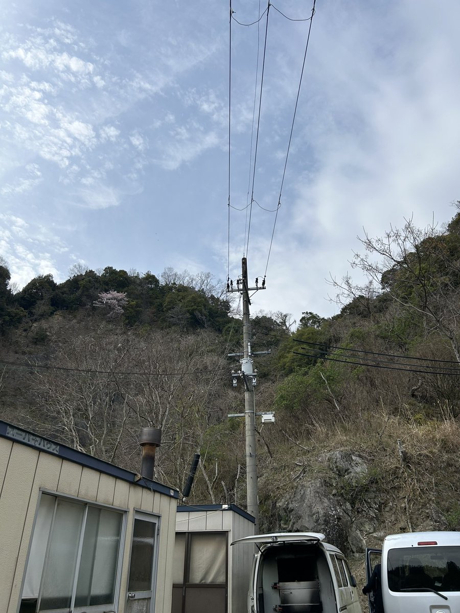 デグーのしっぽときなことおはぎとゆかり tweet media