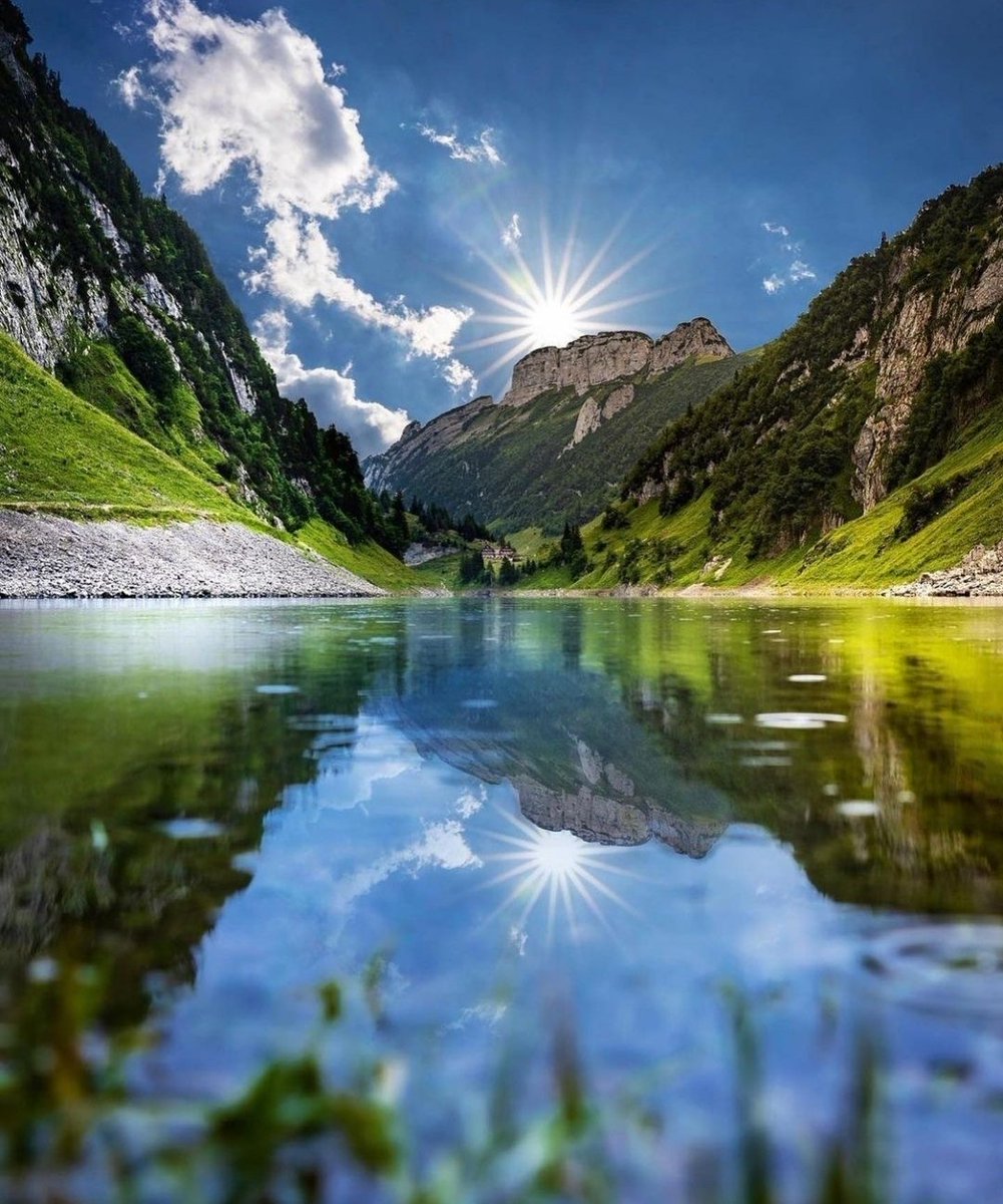 Mirko Vasić tweet media