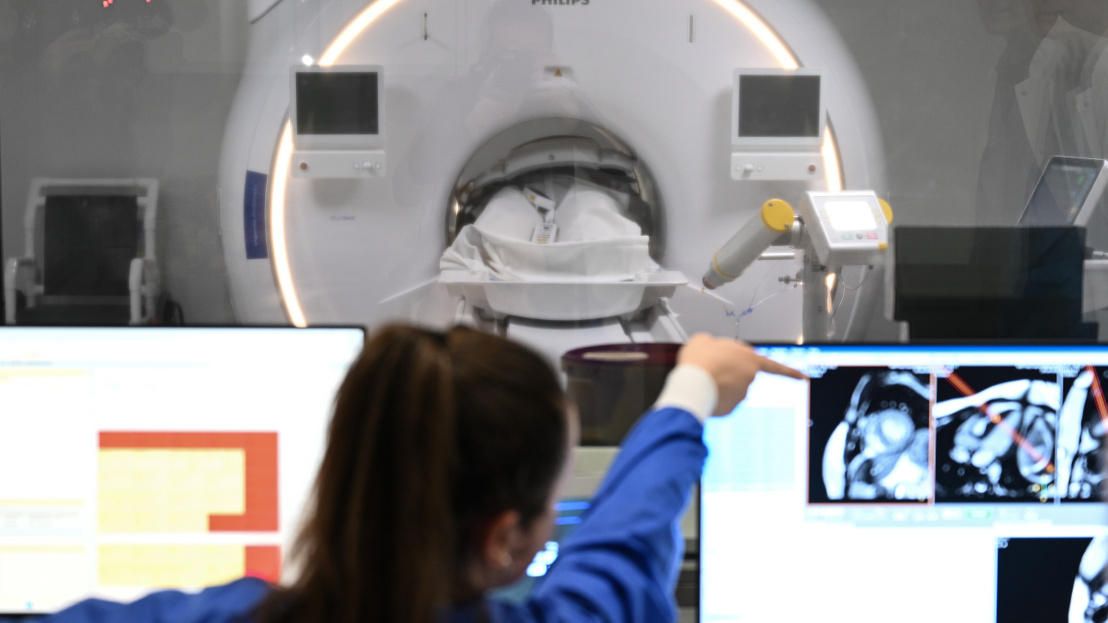 indexhu's tweet image. Vigyázzon: halált okozhat a népszerű édesítőszer fogyasztása.

index.hu/tudomany/2026/…

Fotó:  Hendrik Schmidt / picture alliance / Getty Images

#stoke #heartattack #sweeteners #indexhu