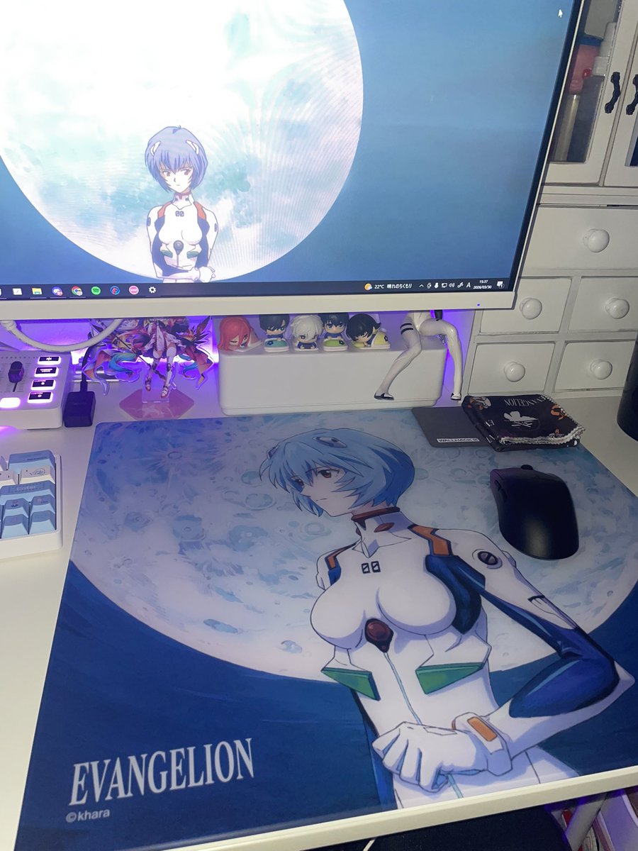 🐈‍⬛🐾 tweet media