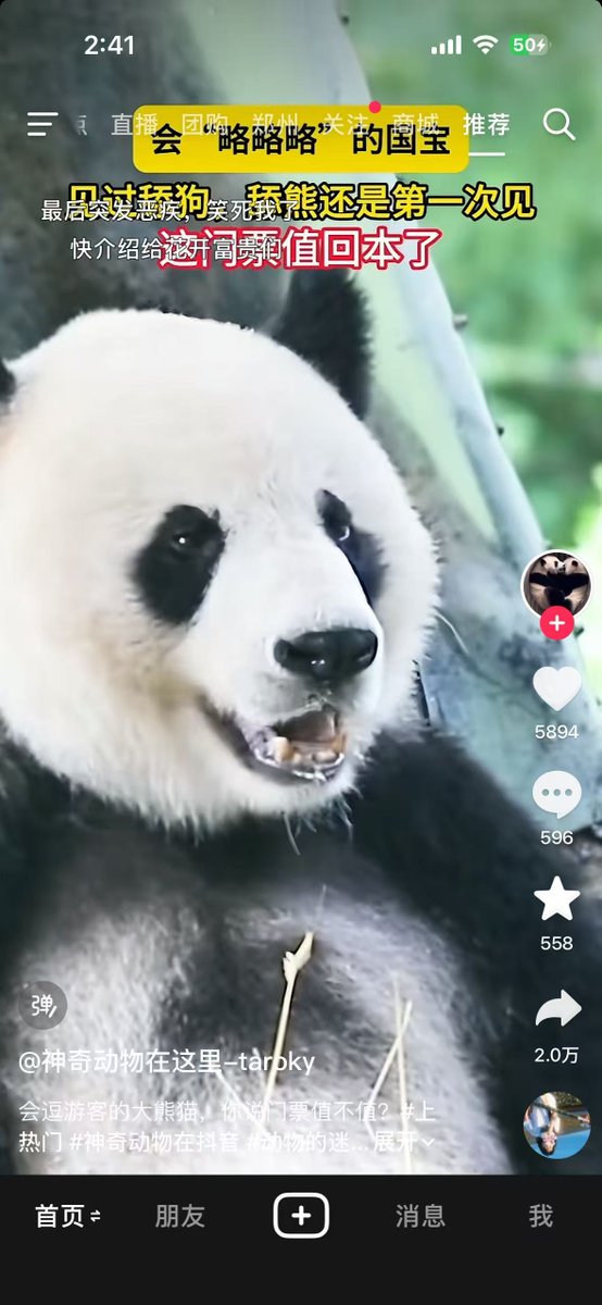 彩虹艺术家 tweet media