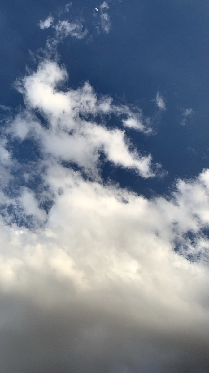 fofa393's tweet photo. ياجُزئي السعيد بأيامي دائماً💙
#اقتباسات_سنابية #غيوم #اقتباسات https://t.co/8MQiwZXAAU
