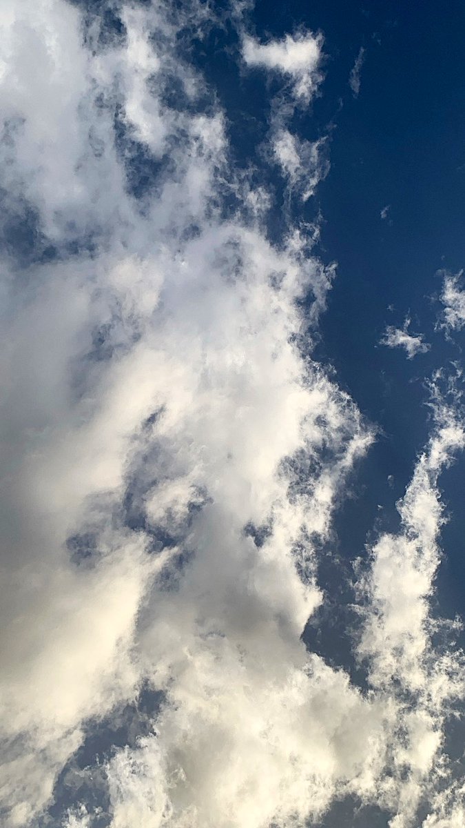 fofa393's tweet photo. ياجُزئي السعيد بأيامي دائماً💙
#اقتباسات_سنابية #غيوم #اقتباسات https://t.co/8MQiwZXAAU