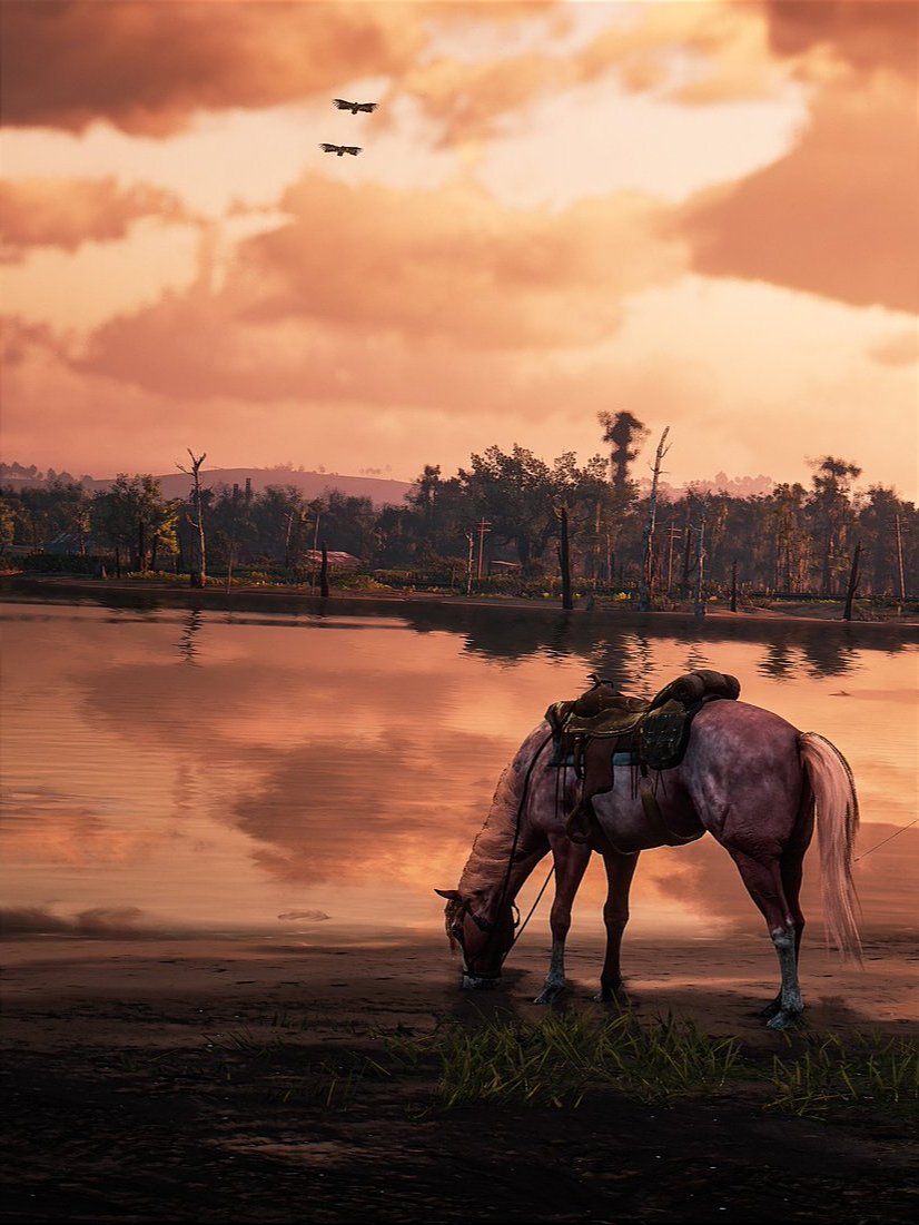 Video Games Wallpapers tweet media