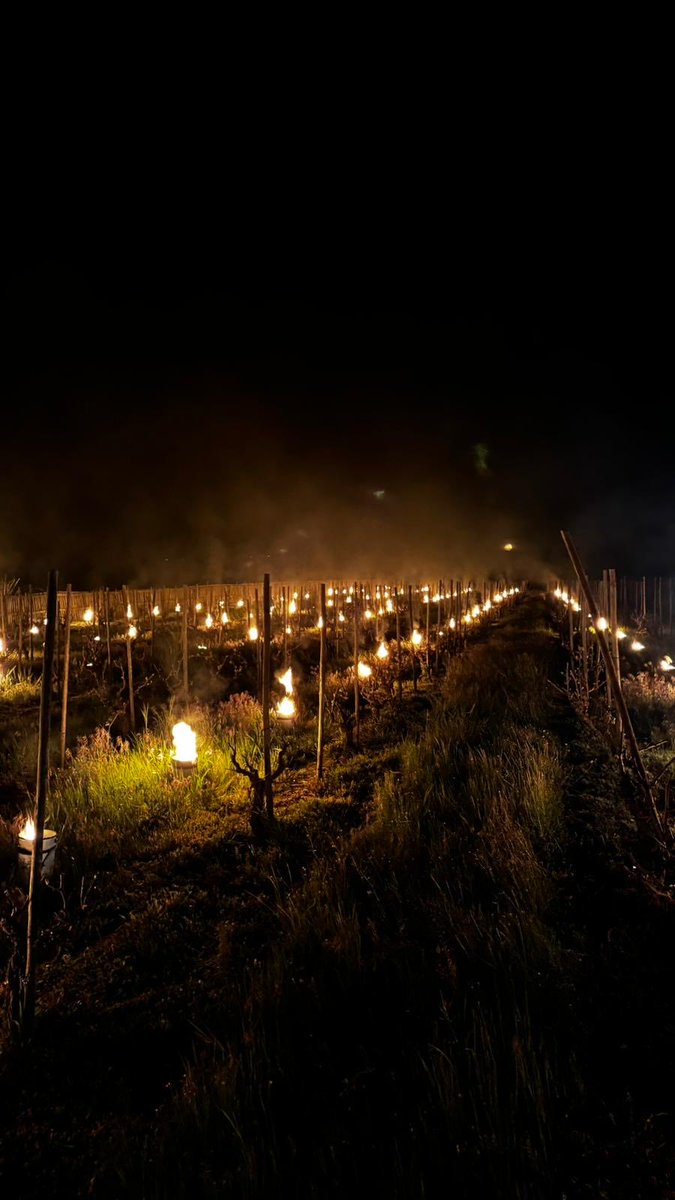 Venus La Universal tweet media