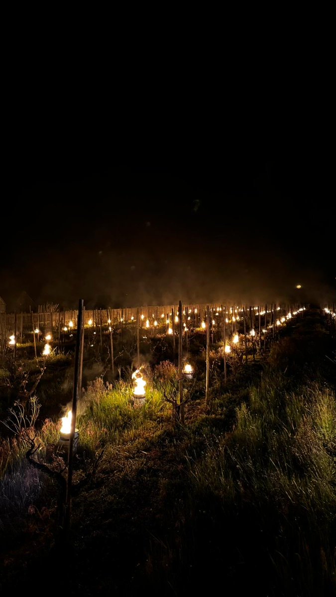 Venus La Universal tweet media