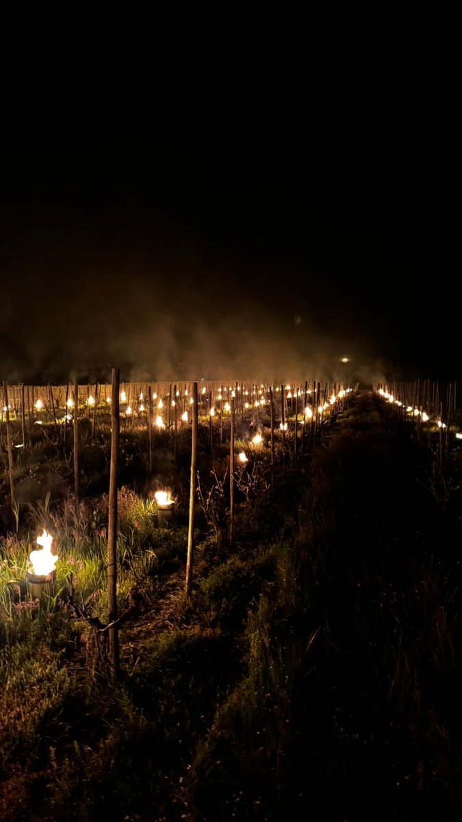 Venus La Universal tweet media