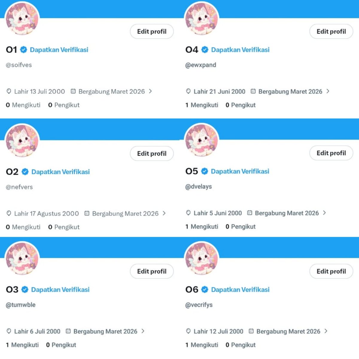 aila! ♡ order wa only tweet media