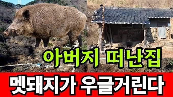 냐랑 tweet media