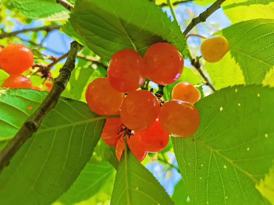 Missee Me tweet media