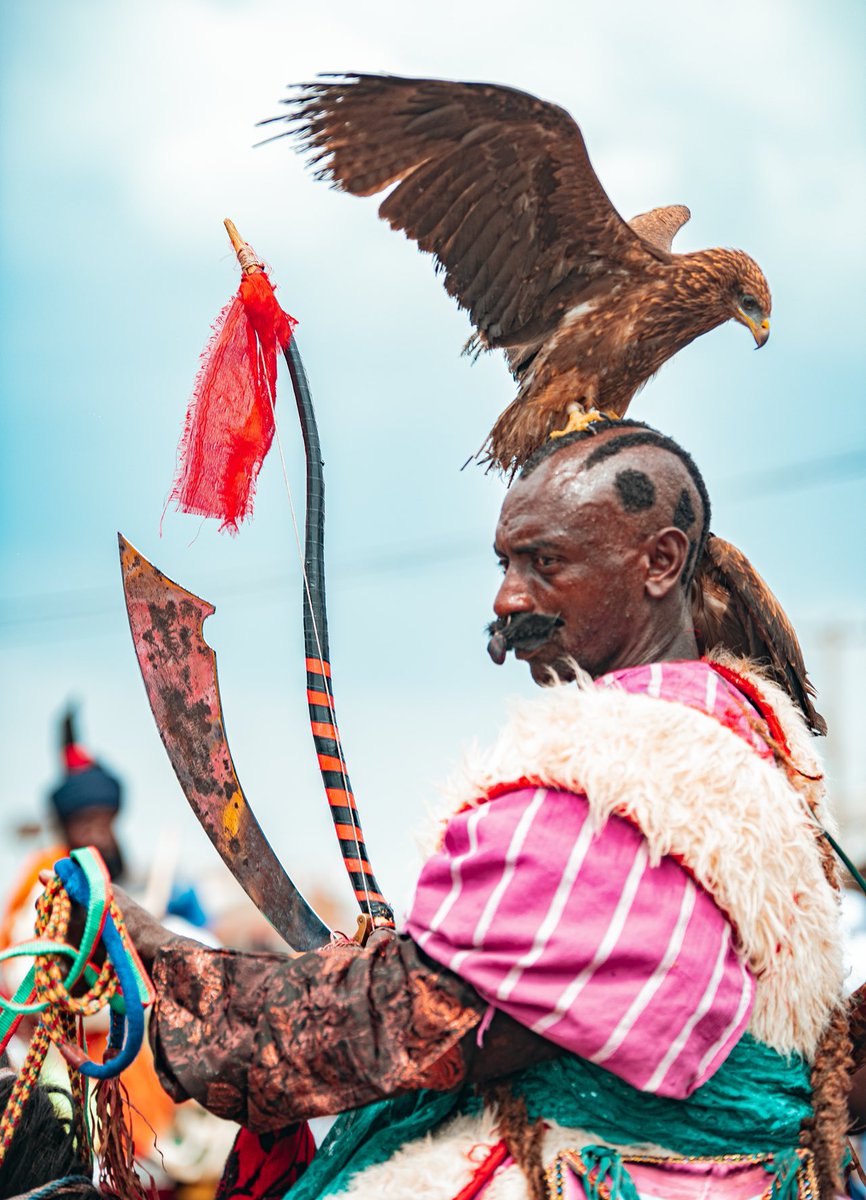 SarkinFOTO tweet media