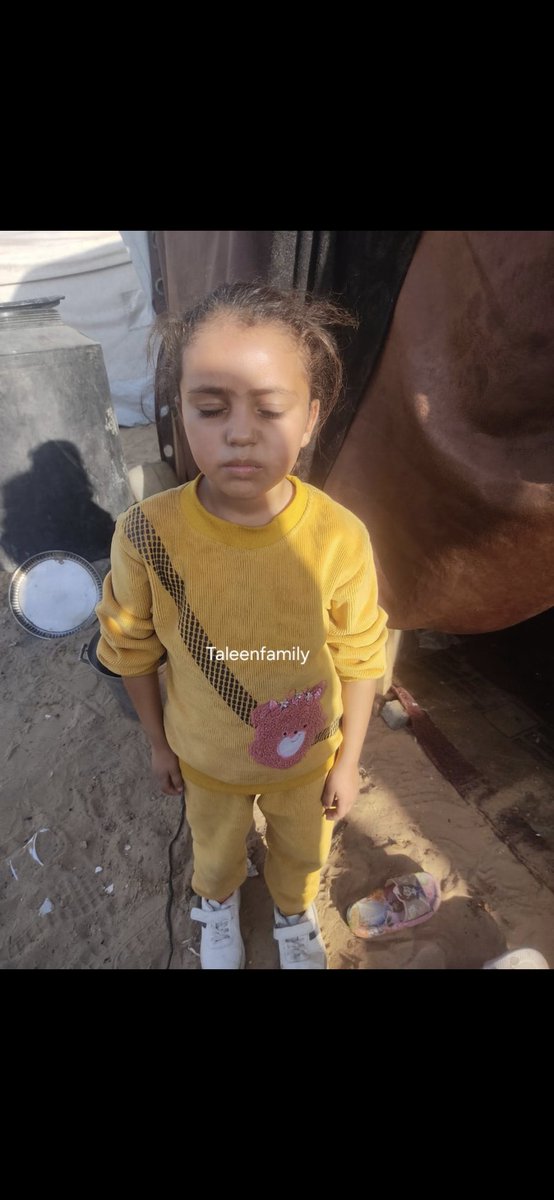 Taleen Family 🍉 tweet media