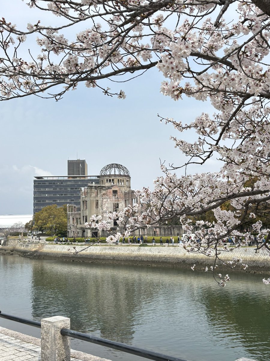 hiroshima_tkb's tweet photo. 平和公園の桜が満開です🌸
#広島県人会 #筑波大学 #春から筑波 https://t.co/8uCUBWhZ6a