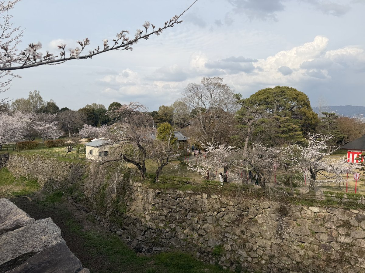 なつしよ tweet media