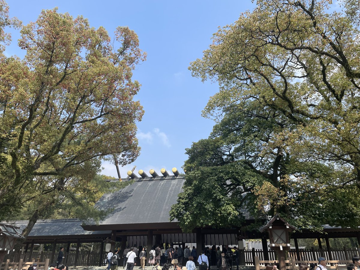 さとここな@DQW tweet media