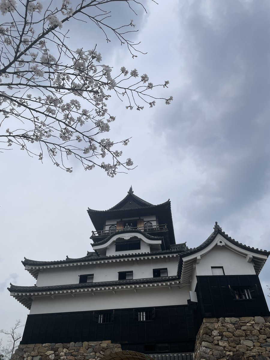 さとここな@DQW tweet media