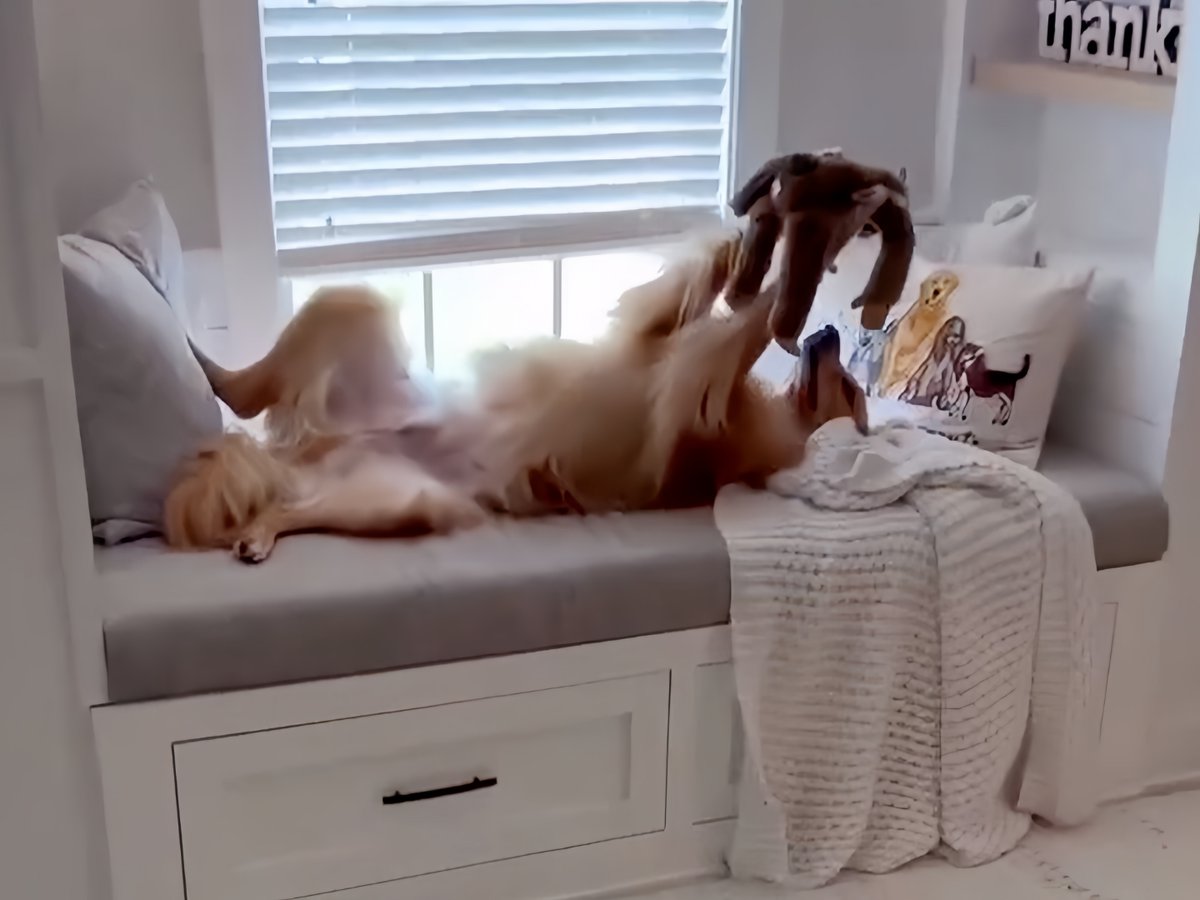 InfoTronic tweet media