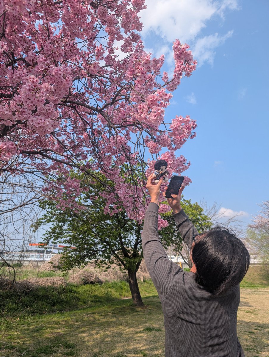 えっこ tweet media