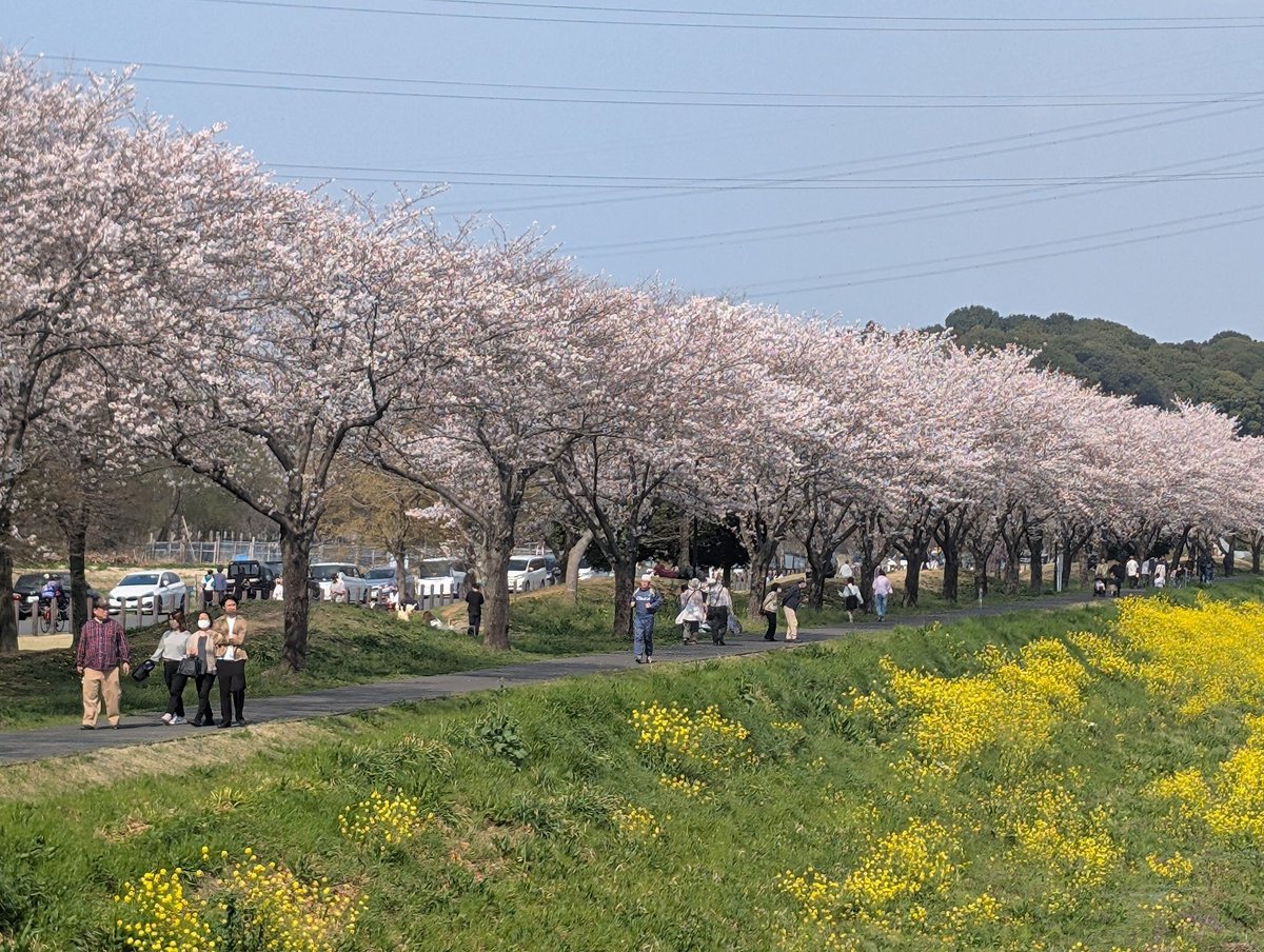 えっこ tweet media