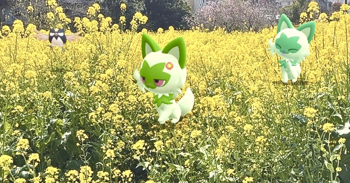 Ｍoonlight tweet media