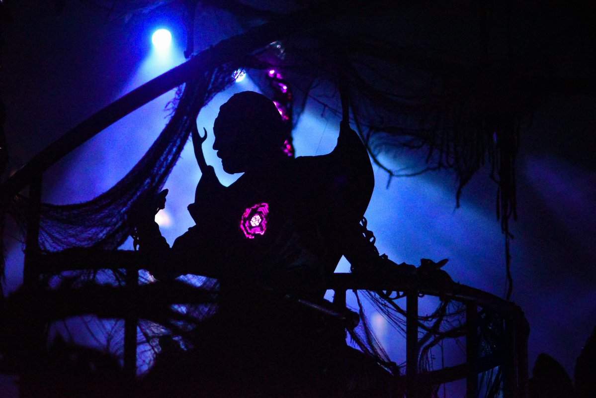 oddfellow’s favorite leo 🦋 tweet media