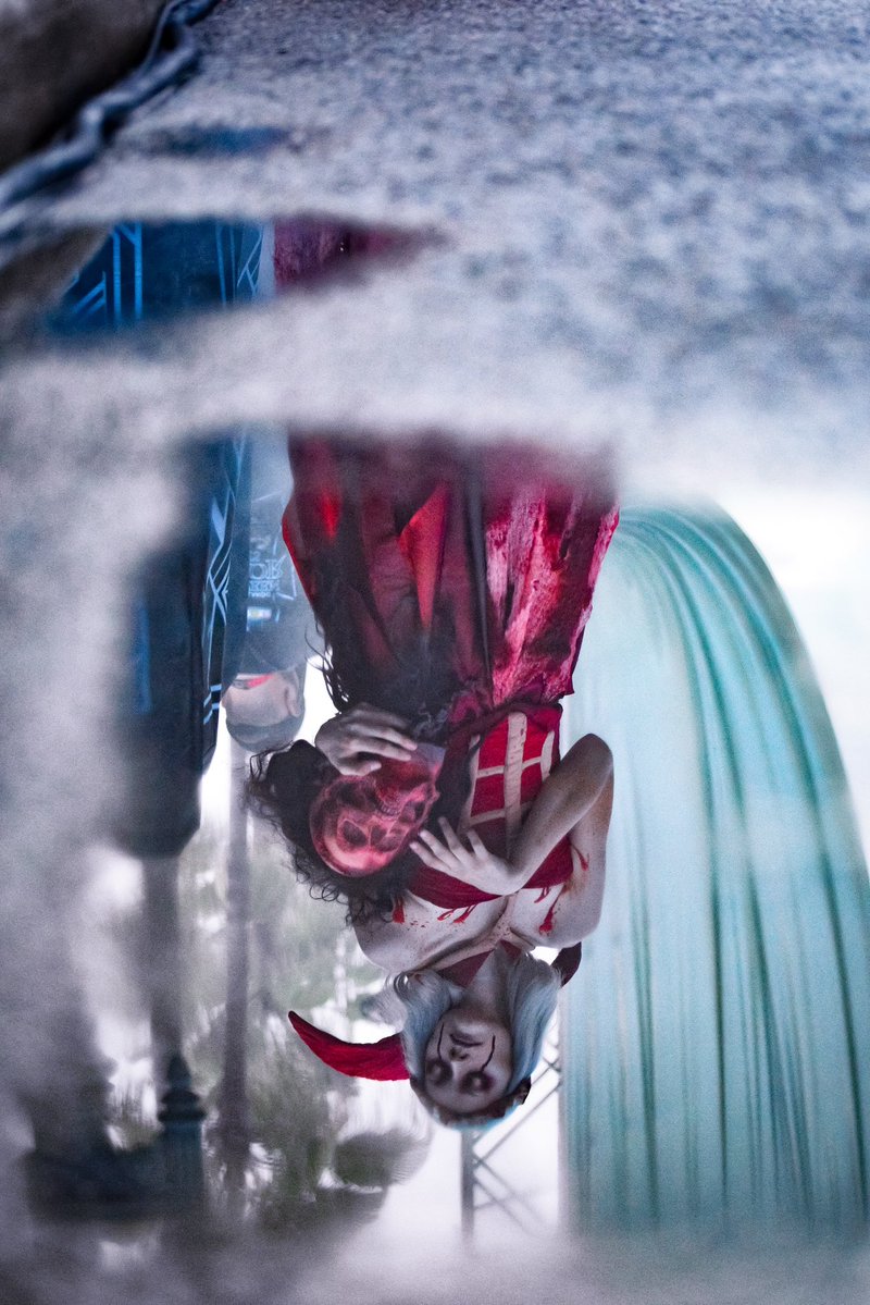 oddfellow’s favorite leo 🦋 tweet media