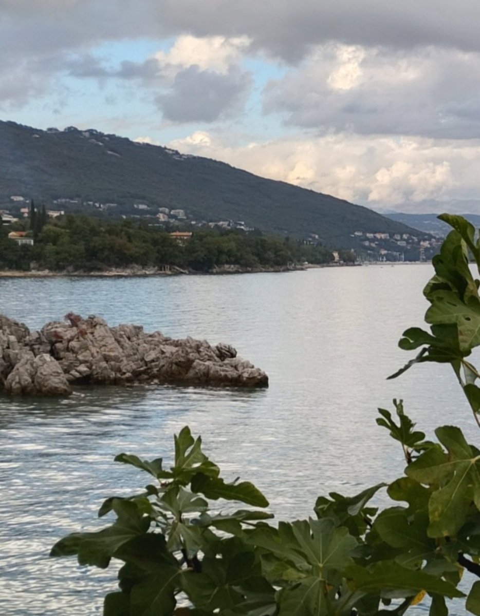 MotherofDragon tweet media