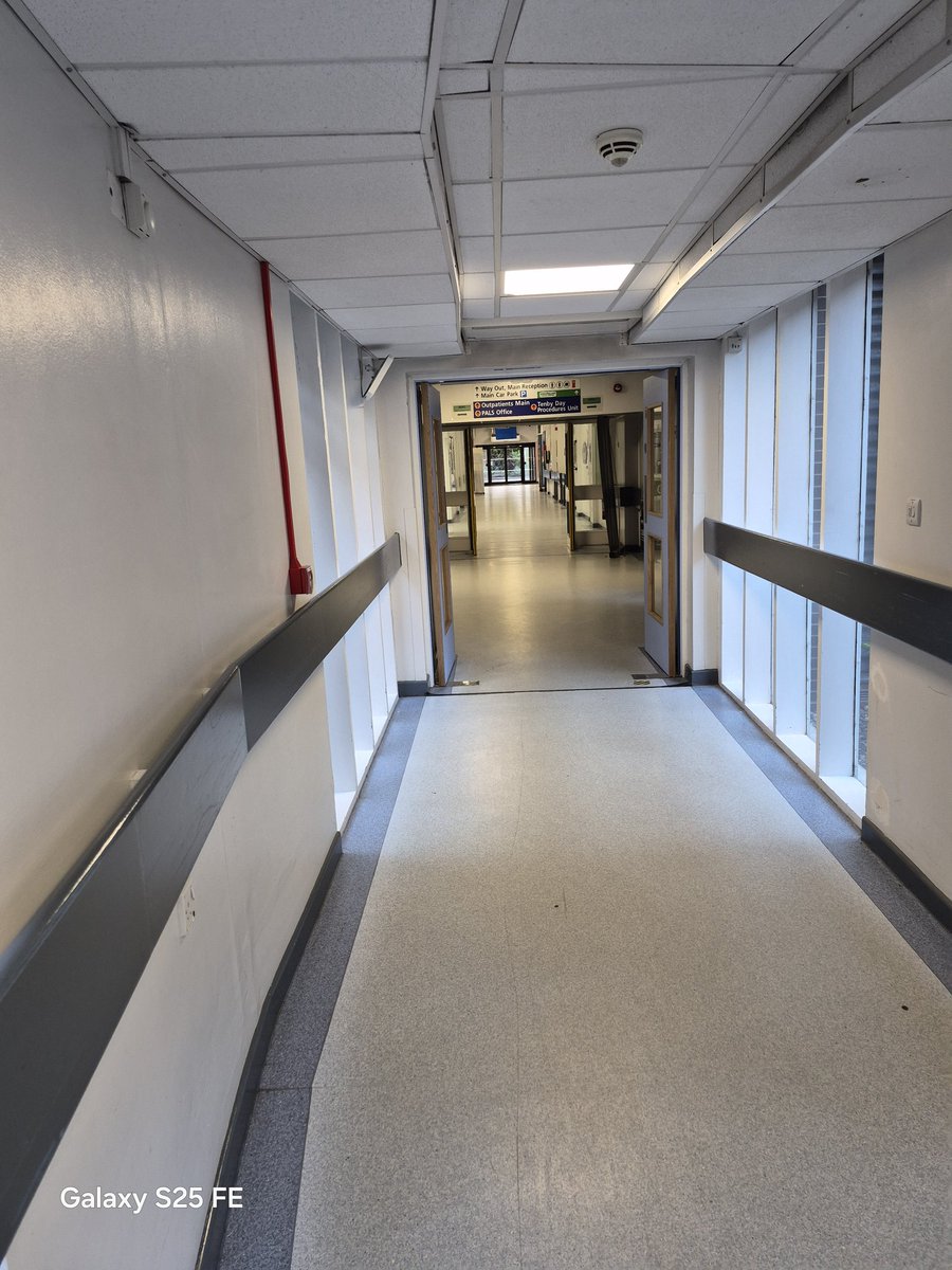 🎗 MOGGY 🎗 tweet media