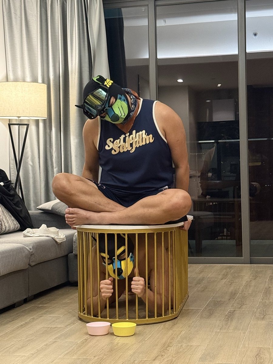 骨头辣🦴 tweet media