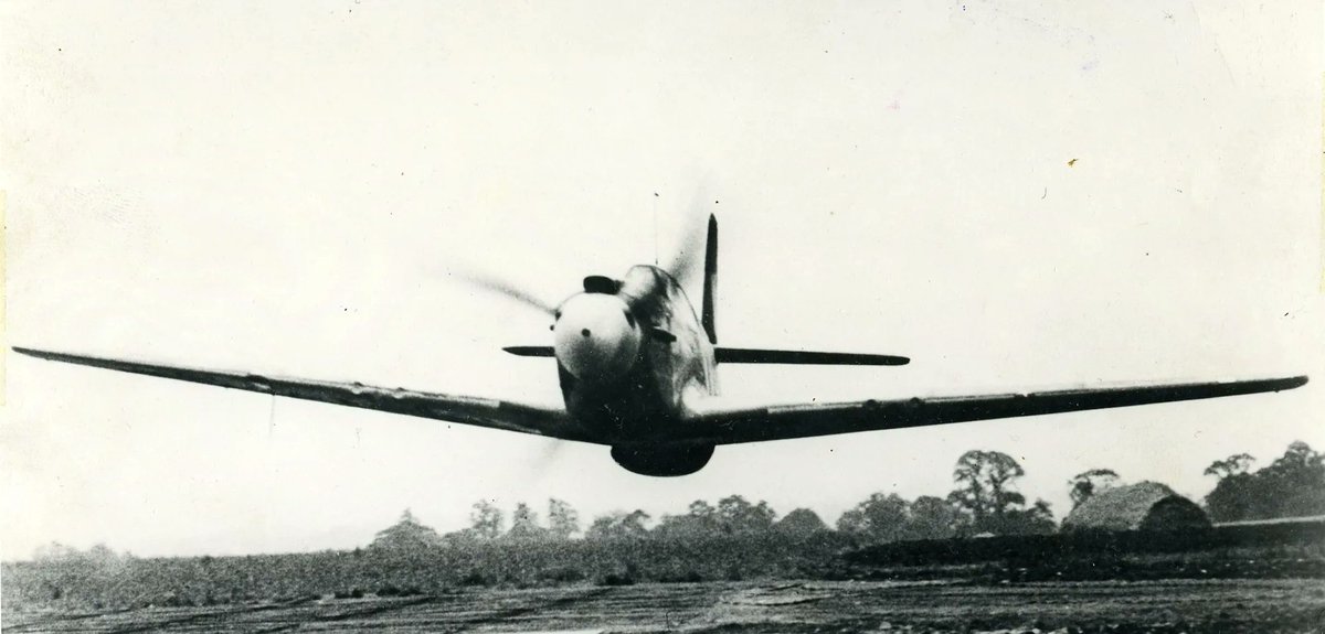 Gesichter des Krieges tweet media